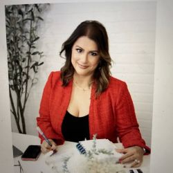 Law Offices of Cristina T. Sepulveda ico