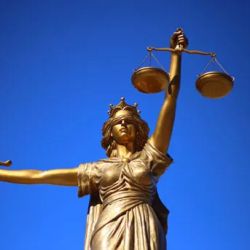 Law Offices of Ed Goldner, P.C. ico