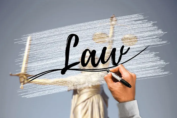 Law Offices of Ed Goldner, P.C. 6