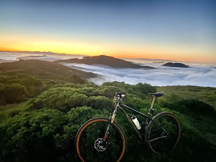 Bicycle Law 10