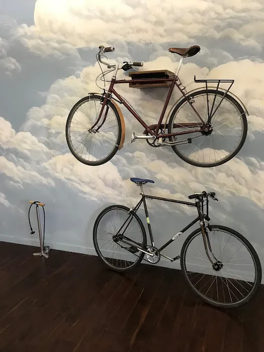 Bicycle Law 6