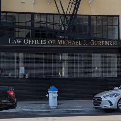 Michael Gurfinkel Law Office ico