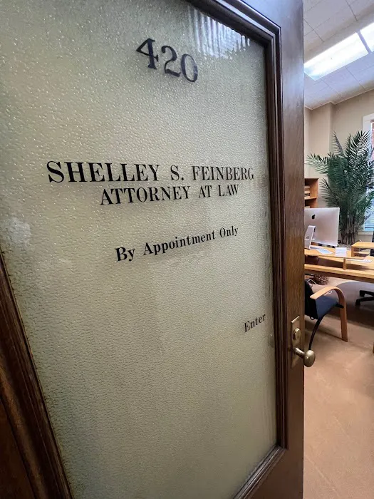 Law Office of Shelley S Feinberg 6
