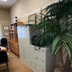 Law Office of Shelley S Feinberg ico