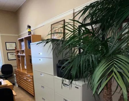 Law Office of Shelley S Feinberg