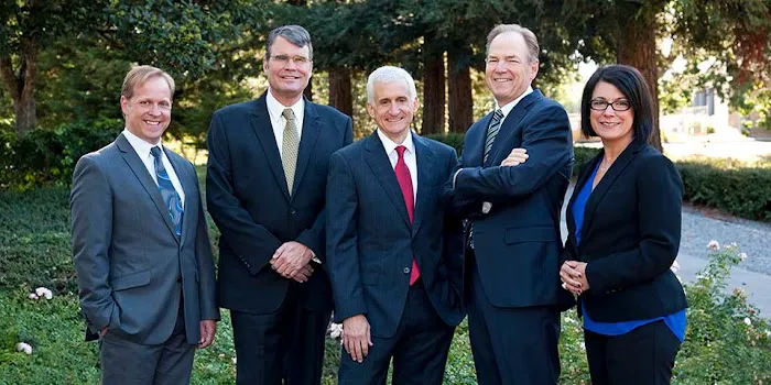 Friedemann Goldberg LLP 1