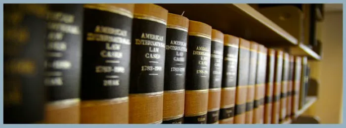 Vereschagin Law Firm 1