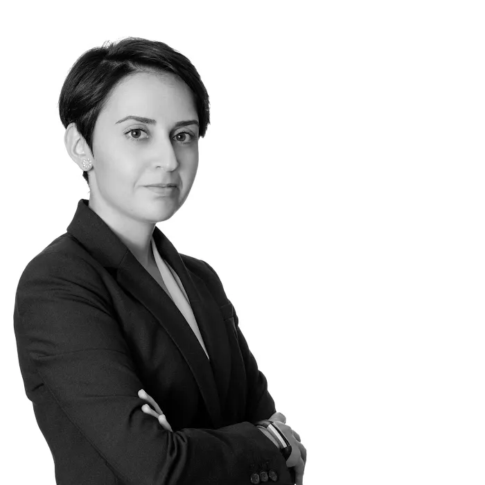 Noori Torabi - Winston & Strawn LLP 1