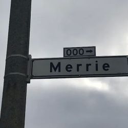 Merri A. Baldwin ico