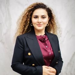 CSM Law Office ico