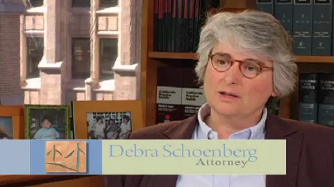 Schoenberg Family Law Group, P.C. - Divorce Attorneys 1