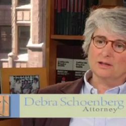 Schoenberg Family Law Group, P.C. - Divorce Attorneys ico