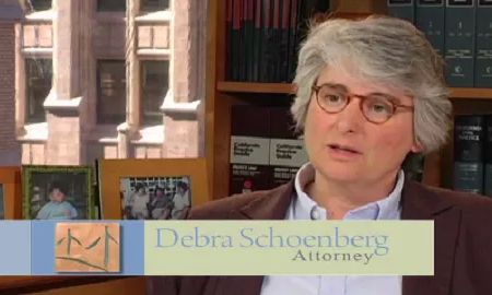 Schoenberg Family Law Group, P.C. - Divorce Attorneys