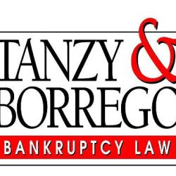 Tanzy & Borrego Law Offices, P.L.L.C. ico
