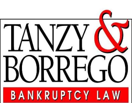 Tanzy & Borrego Law Offices, P.L.L.C.