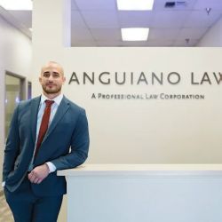 Anguiano Law - Sacramento Criminal Defense ico