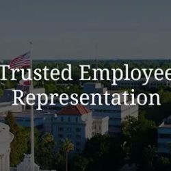 Webber & Egbert Employment Law, P.C. ico