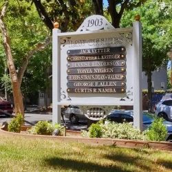 George F. Allen ico