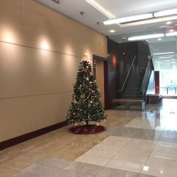 The Frey Law Firm, LLC ico