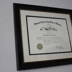 Apex Law Firm Tampa ico