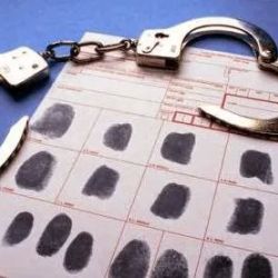 Greater Tampa Law, P.L. ico