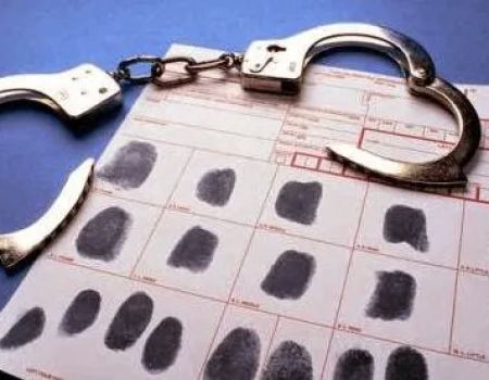 Greater Tampa Law, P.L.