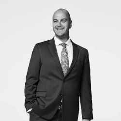 Brown Immigration Law ico