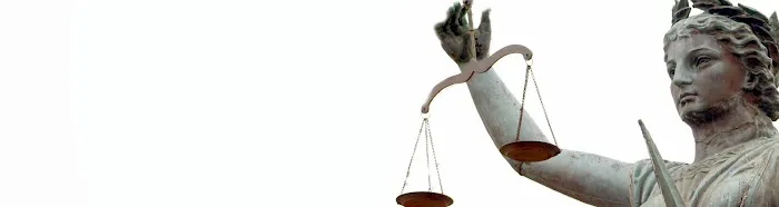 Perez & Perez Bankruptcy 3