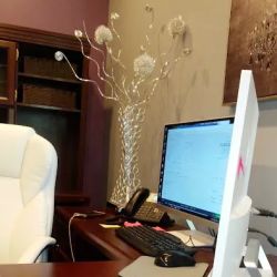 Cindy L. Kenworthy, P.C. ico