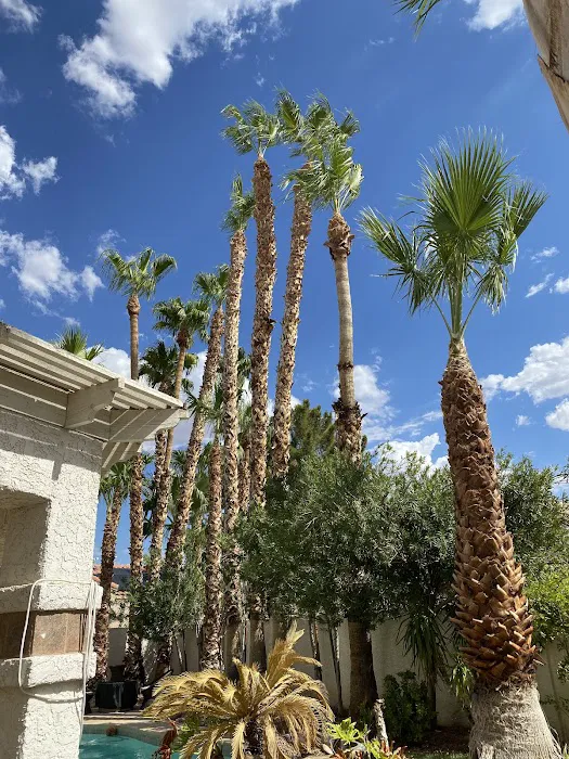Pritzker Hageman, P.A. - Nevada Office 9