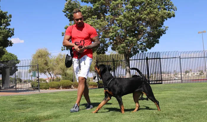 Spartacus Criminal Defense Lawyers Las Vegas 6