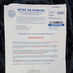 Clark County Jury Services ico
