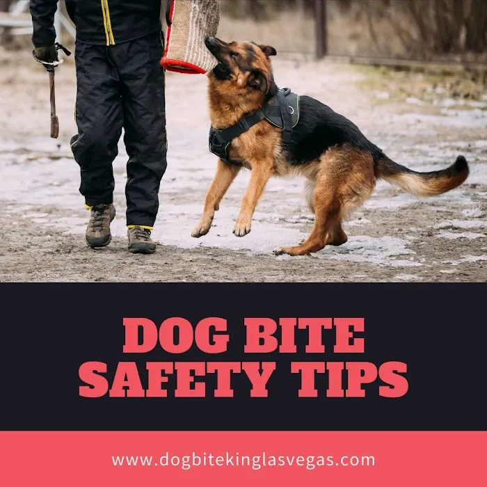 Dog Bite King Law Group 2