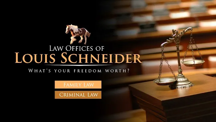 Law Offices Of Louis Schneider 7