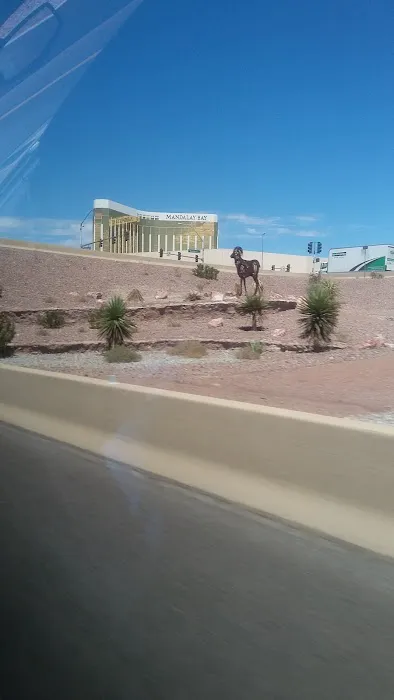 Ladah Injury & Car Accident Lawyers Las Vegas 3