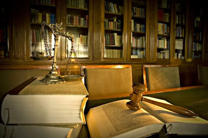Palmé Law Firm, P.A. 6