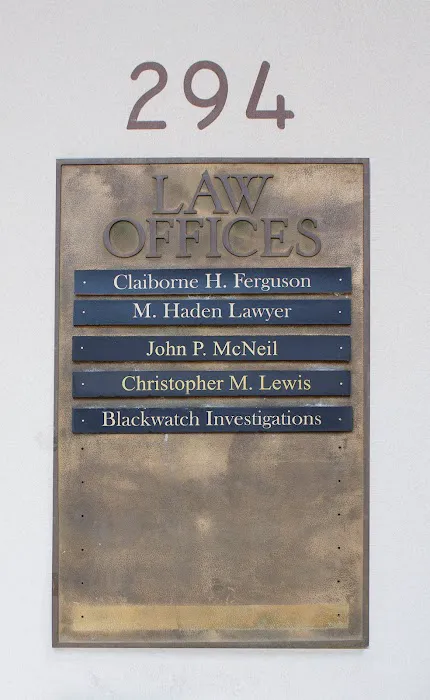 Ferguson McNeil Law Firm, P.A. 2