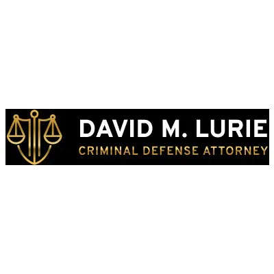 David M. Lurie, Criminal Defense Attorney 1