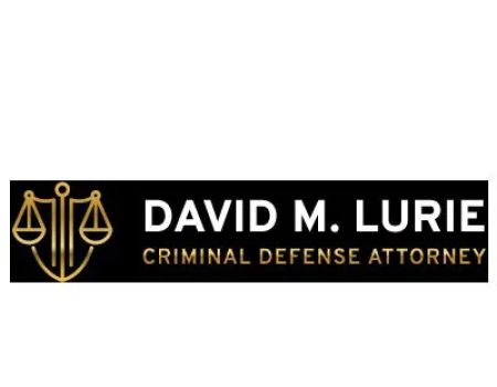 David M. Lurie, Criminal Defense Attorney