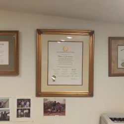 Peter J Graham Law Office ico