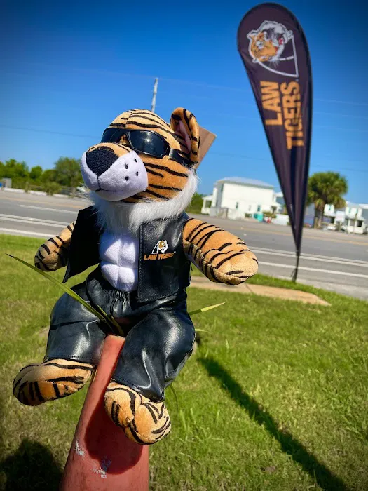 Law Tigers 2