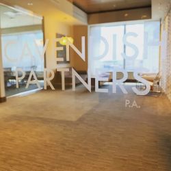 Cavendish Partners, P.A. ico