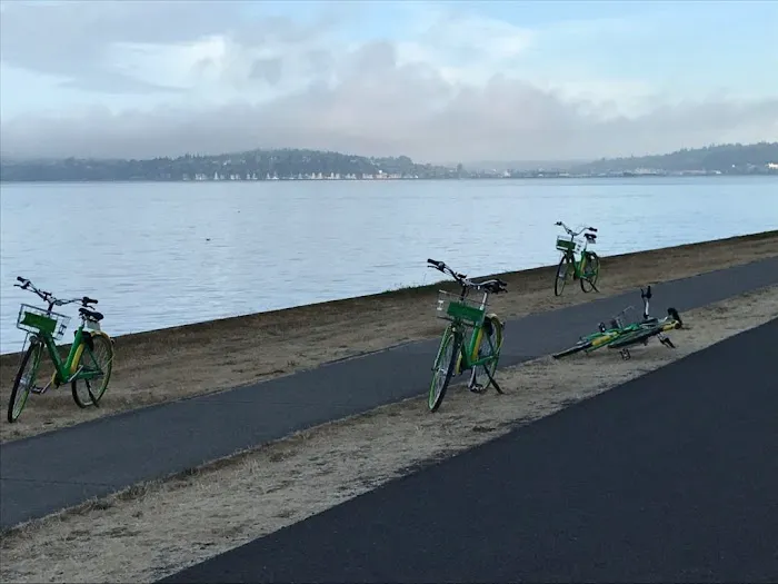 Washington Bike Law 4