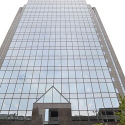 Landrum & Shouse LLP ico