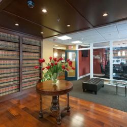 Decamillis & Mattingly, PLLC ico