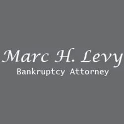 Marc H Levy Bankruptcy Attorney ico