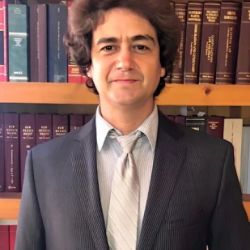 RUIZ DE LA TORRE LAW FIRM ico