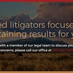 Alcaraz Law, P.A. ico