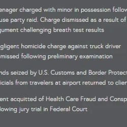 Michigan Criminal Defense Attorney ico