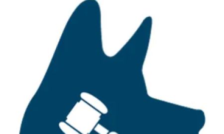 TopDog Law Personal Injury Lawyers